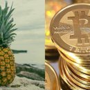 파인애플 이미지