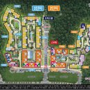 백운산 숲속의 아침 이미지