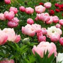 봄봄한의원 이미지