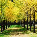 풍경힐링 이미지