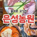 남산농원 | 을지로 고깃집 은성농원 단체 회식하기 좋은 곳 주문꿀팁, 솔직후기