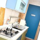 댕댕이,봄 | 댕댕이와 함께 떠나는 설레는 전주 여행