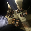 뱃고동펜션