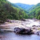 탁장사마을 이미지