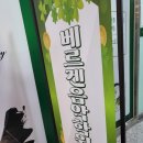 베르겐음악학원 이미지