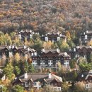 용평버치힐휴양콘도미니엄 이미지