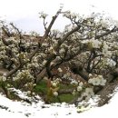 성림농장 이미지