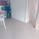 강아지song | 컴패니온 강아지 미끄럼장판 컴패니온 장판 CF3510 시공 후기( 두 달 사용 후기)