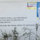 순흥기지떡 영주점 이미지