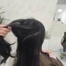 리체헤어 이미지