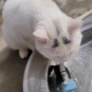 금비농장 이미지