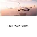(주)올인포케이 | 청주오사카항공권 직항편 가격비교부터 예약노하우까지 후기