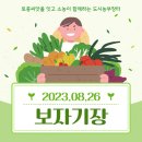 송광떡방앗간 | 토종씨앗을 잇고 소농이 함께하는 도시농부장터 '보자기장'