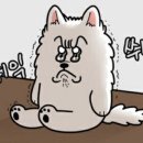제주색동