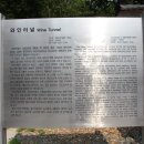 청도감나라
