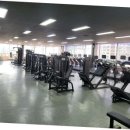 머슬앤피플 학익점 이미지