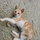 도연약국 이미지