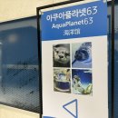 아쿠아플라넷63 | 서울 63빌딩 데이트 3탄ㅣ아쿠아플라넷 63 아쿠아리움 방문 후기