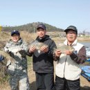 신안낚시터 이미지