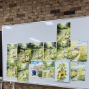 수채화 (중급) 이미지