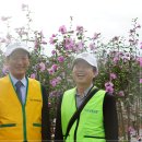 무궁화농장 이미지