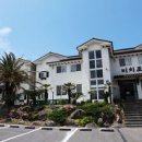 비치조아 이미지