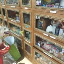 무지개다리 이미지