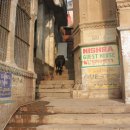 소들의 천국 이미지