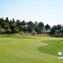 사이프러스CC | 제주도 5인 골프 예약 컨디션좋은 제주 사이프러스cc 부킹 후기