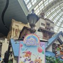 (주)미라클트리 이미지