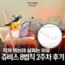 신진부분정비 | 적게 먹어도 살찌는 이유? 기초대사량 높이는 쥬비스 다이어트 2주차 후기(별내헬스장)