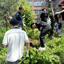 비봉고등학교 이미지