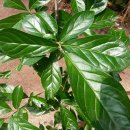 상산농장 이미지