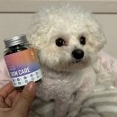 해피포우 이미지