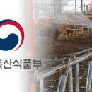 정돈축산