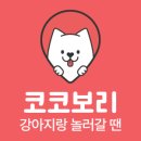 펑키코코