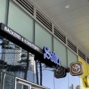 싸일러 | [용산/싸일러] 오스트리아 베이커리 카페 싸일러 용산 후기 (+ 용산 브런치 카페 추천)