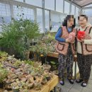 꽃피는산골스테이 이미지