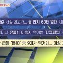 [돈문돈답, 경제 매거진] 1)금값 사상 최고가... 돌 반지 60만 원대 시대 2)무료라더니 유료?! 이용자 속이는 &#39;다크패턴&#39; .. 이미지