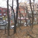 은혜슈퍼 앞 이미지