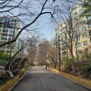 KT 옆(교동길) 네이버블로그