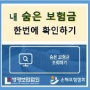 ’22년 중「숨은 내보험 찾아주기 캠페인」: [’22년에도 남아있는 약 12.3조원의 숨은 보험금] 이미지