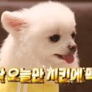 구덕치킨