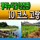 고랑포길 이미지