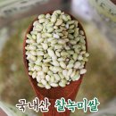 청맥식품 - 남양주시 | 맨날 먹던 흰쌀밥이 지겨워질 때? 쫀득함에 반해버린 찰녹미의 유혹
