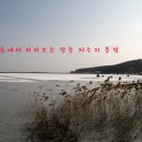 장흥지낚시터 네이버블로그