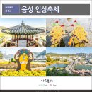 금강튀김용담점 | 음성군블로그공모전, 음성 인삼축제&amp;용담산 도시산림공원