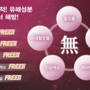 쇼핑몰(화장품판매)