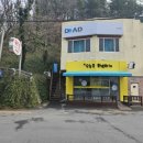 오늘은 특별하개 네이버블로그