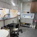 꽃내음나개 이미지